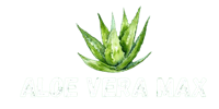aloe vera max logo transparent