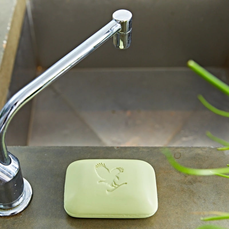 Savon Avocado Forever : Le Soin Nettoyant & Hydratant Ă l'Avocat pour Visage et Corps â Image 4